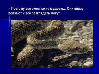 - Поэтому все змеи такие мудрые… Они внизу ползают и всё разглядеть могут.