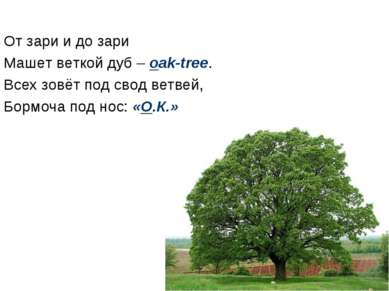 От зари и до зари Машет веткой дуб – oak-tree. Всех зовёт под свод ветвей, Бо...