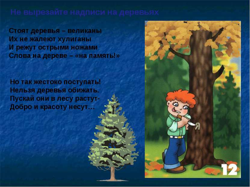 Не вырезайте надписи на деревьях Стоят деревья – великаны Их не жалеют хулига...