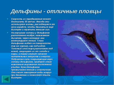 Дельфины - отличные пловцы Скорость их передвижения может достигать 55 км/час...