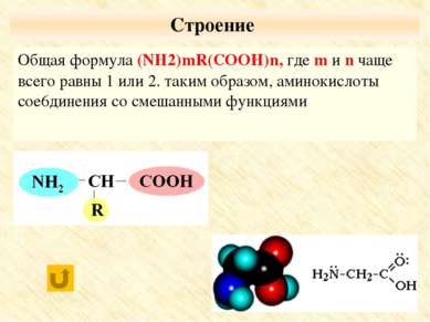 По числу функциональных групп моноаминомонокарбоновые кислоты; диаминомонокар...
