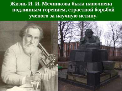 Жизнь И. И. Мечникова была наполнена подлинным горением, страстной борьбой уч...