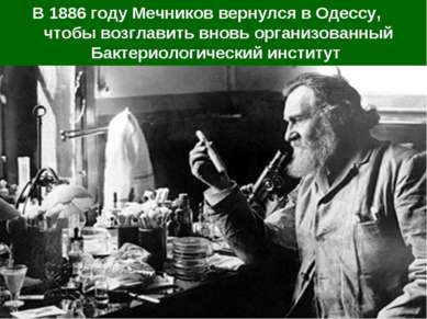 В 1886 году Мечников вернулся в Одессу, чтобы возглавить вновь организованный...
