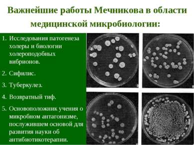 Важнейшие работы Мечникова в области медицинской микробиологии: Исследования ...