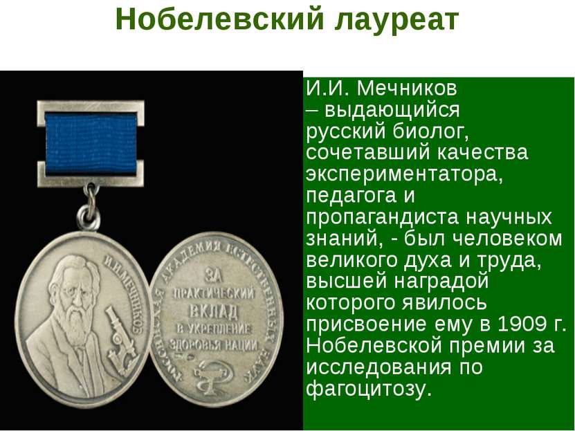 Нобелевский лауреат И.И. Мечников – выдающийся русский биолог, сочетавший кач...