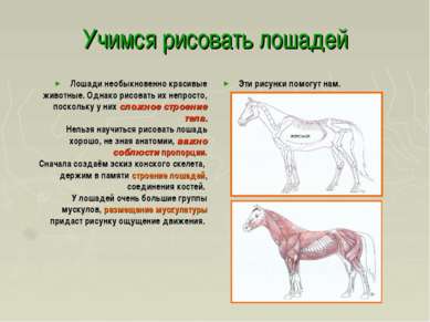 Учимся рисовать лошадей Лошади необыкновенно красивые животные. Однако рисова...