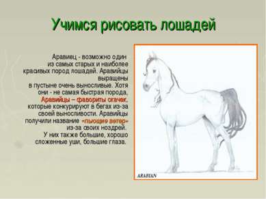 Учимся рисовать лошадей Аравиец - возможно один из самых старых и наиболее кр...