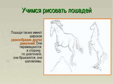 Учимся рисовать лошадей Лошади также имеют широкое разнообразие других движен...