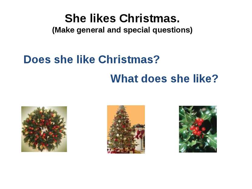 She likes Christmas. (Make general and special questions) Does she like Chris...