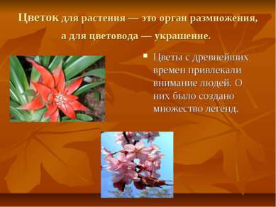 Цветок для растения — это орган размножения, а для цветовода — украшение. Цве...
