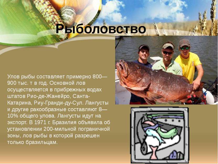 Улов рыбы составляет примерно 800—900 тыс. т в год. Основной лов осуществляет...