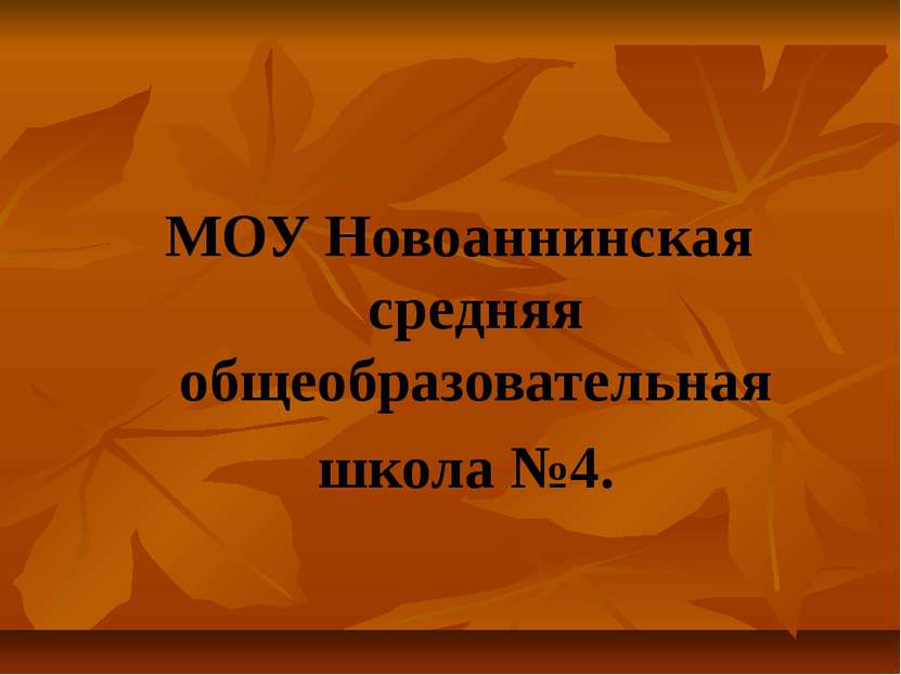 МОУ Новоаннинская средняя общеобразовательная школа №4.