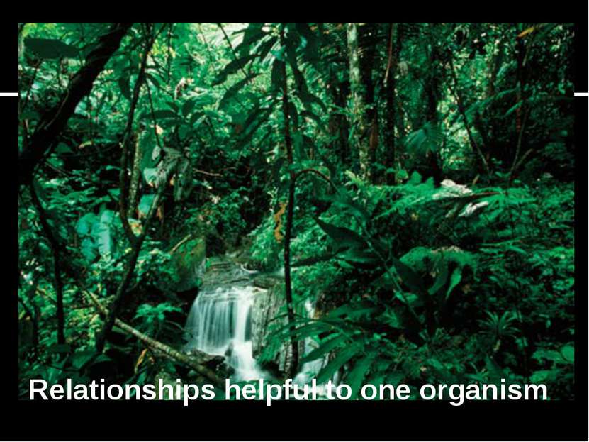 Relationships helpful to one organism