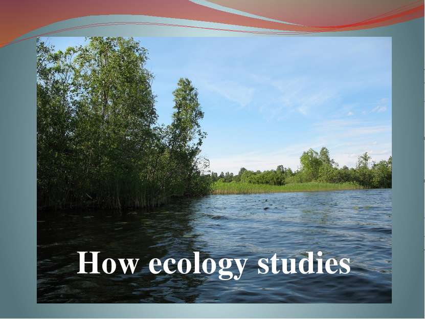 How ecology studies