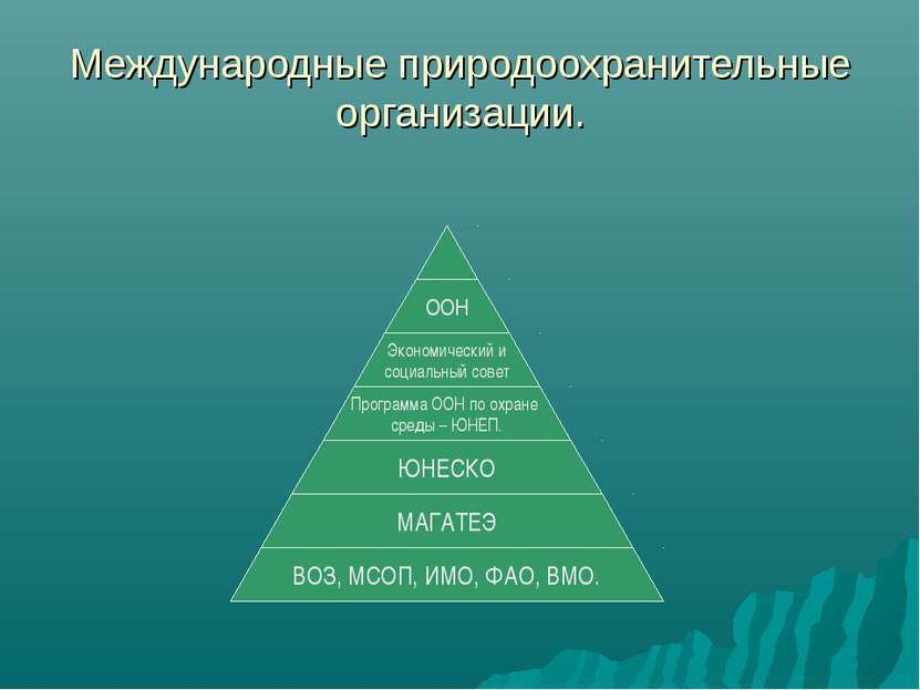 Международные природоохранительные организации.