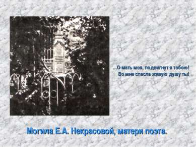 Могила Е.А. Некрасовой, матери поэта. …О мать моя, подвигнут я тобою! Во мне ...