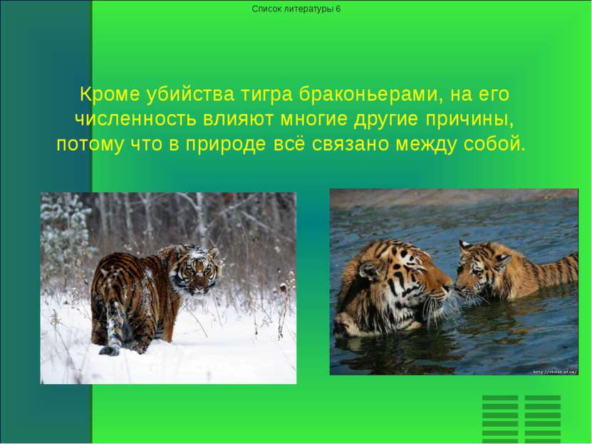 Кроме убийства тигра браконьерами, на его численность влияют многие другие пр...