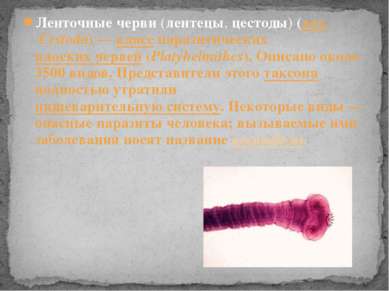 Ленточные черви (лентецы, цестоды) (лат. Cestoda) — класс паразитических плос...