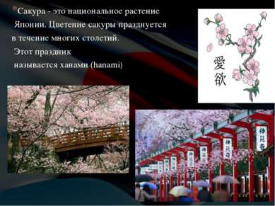 Сакура - это национальное растение Японии. Цветение сакуры празднуется в тече...