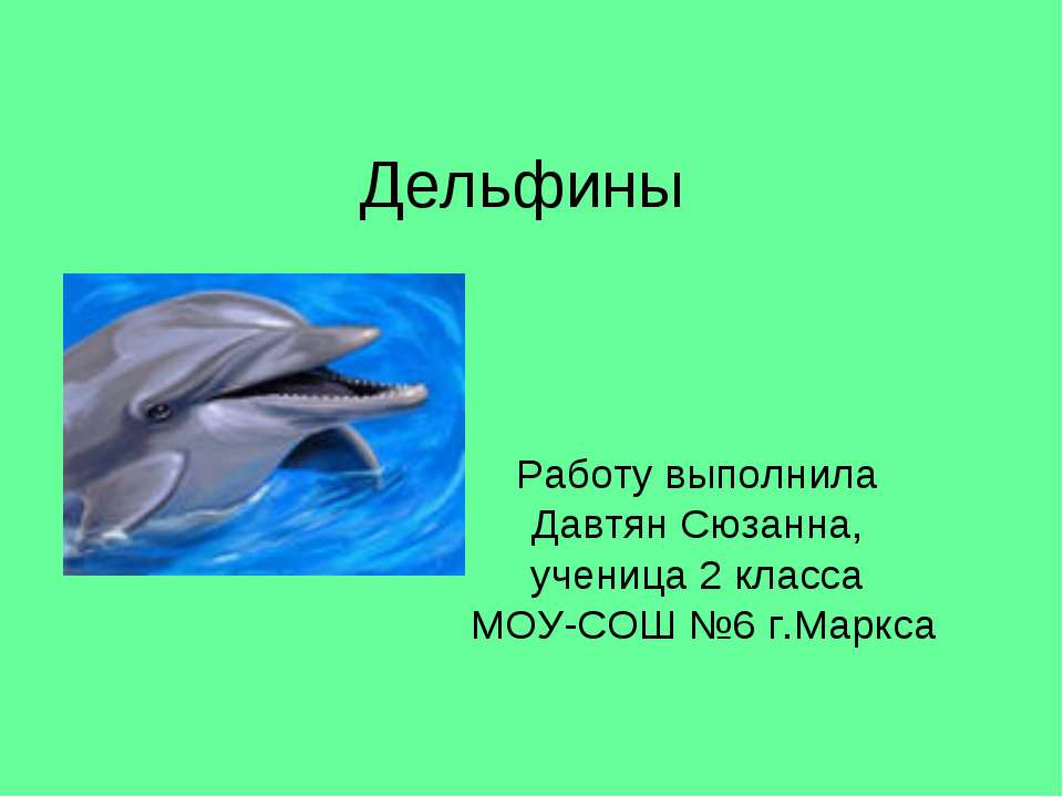 Дельфин 2 группа. Презентация про дельфинов. Презентация на тему дельфины 2 класс. Доклад про дельфина. Сообщение о дельфине.