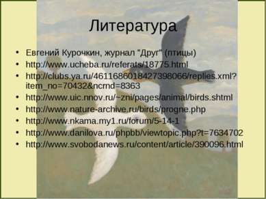 Литература Евгений Курочкин, журнал "Друг" (птицы) http://www.ucheba.ru/refer...