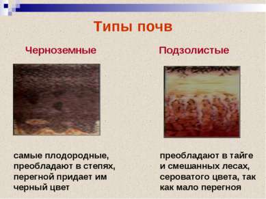Типы почв Черноземные Подзолистые самые плодородные, преобладают в степях, пе...