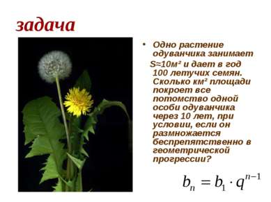 задача Одно растение одуванчика занимает Ѕ≈10м² и дает в год 100 летучих семя...