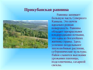 Прикубанская равнина Равнина занимает большую часть Северного Кавказа. Это по...