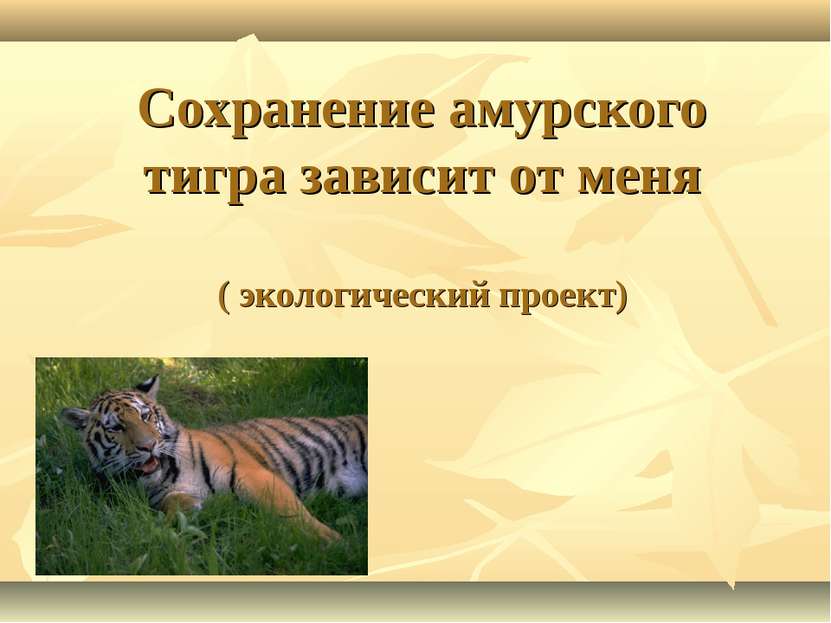Сохранение амурского тигра зависит от меня ( экологический проект)
