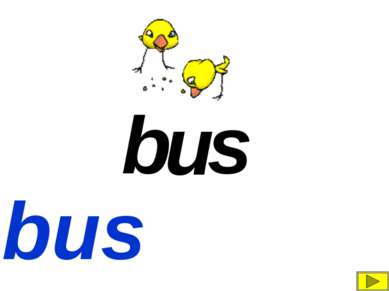 b s u bus