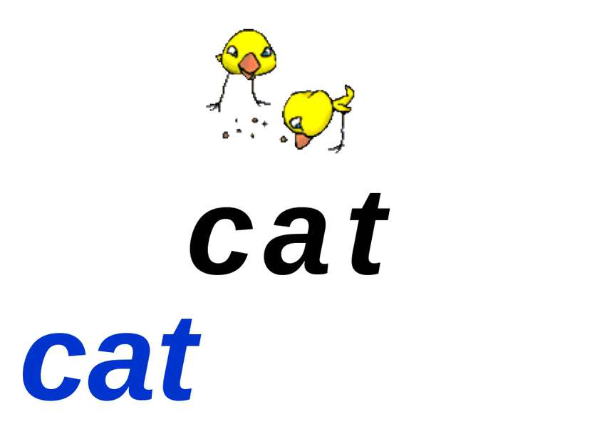 c t a cat