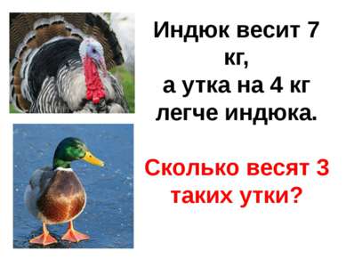 Индюк весит 7 кг, а утка на 4 кг легче индюка. Сколько весят 3 таких утки?