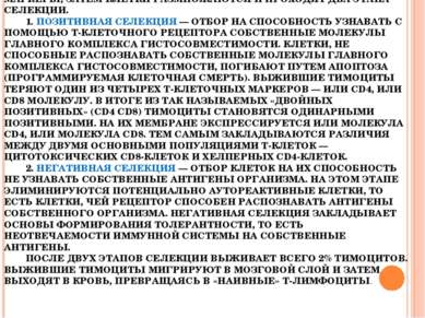 ПРОТИМОЦИТЫ ПОСТУПАЮТ В КОРКОВЫЙ СЛОЙ И ПО МЕРЕ СОЗРЕВАНИЯ ПЕРЕМЕЩАЮТСЯ В МОЗ...