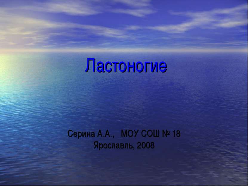 Ластоногие Серина А.А., МОУ СОШ № 18 Ярославль, 2008