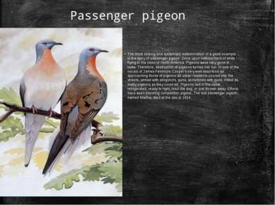Passenger pigeon The most striking and systematic extermination of a good exa...