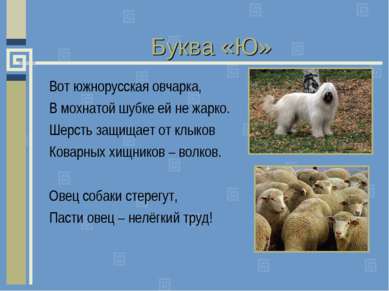 Буква «Ю» Вот южнорусская овчарка, В мохнатой шубке ей не жарко. Шерсть защищ...