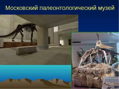 Московский палеонтологический музей