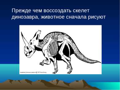 Прежде чем воссоздать скелет динозавра, животное сначала рисуют