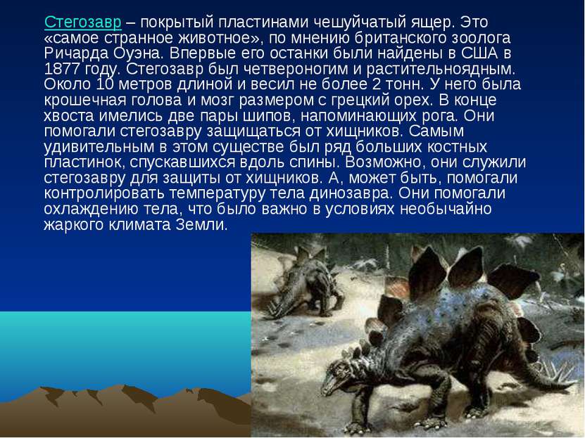 Стегозавр – покрытый пластинами чешуйчатый ящер. Это «самое странное животное...