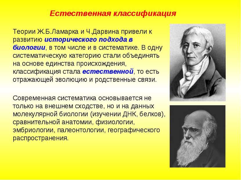 Теории Ж.Б.Ламарка и Ч.Дарвина привели к развитию исторического подхода в био...