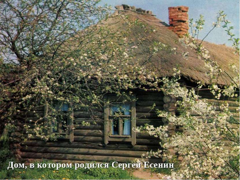 Дом, в котором родился Сергей Есенин