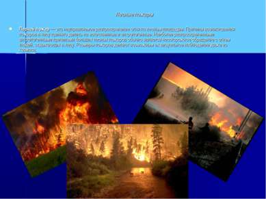 Лесные пожары Лесной пожар — это неуправляемое распространение огня по лесным...