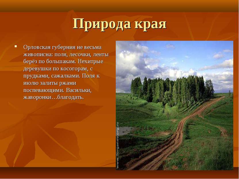 Природа края Орловская губерния не весьма живописна: поля, лесочки, ленты бер...