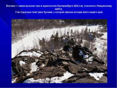 Волчиха — самая высокая гора в окрестностях Екатеринбурга (526,3 м), относитс...