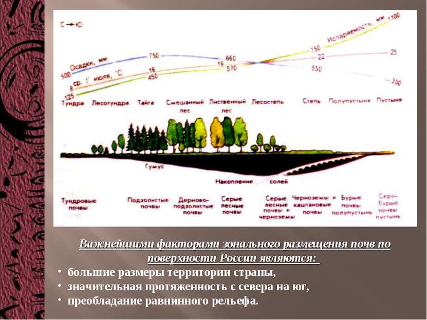 Важнейшими факторами зонального размещения почв по поверхности России являютс...