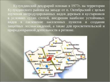 Кулундинский дендрарий основан в 1977г. на территории Кулундинского района на...