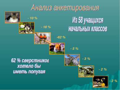 Черепах– 8% Кроликов – 3% - 10 % - 16 % -62 % - 5 % - 3 % - 2 % - 2 %