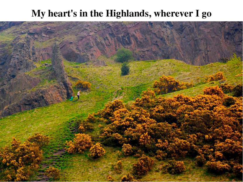 My heart's in the Highlands, wherever I go