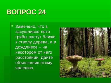 ВОПРОС 24 Замечено, что в засушливое лето грибы растут ближе к стволу дерева,...
