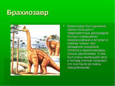 Брахиозавр Брахиозавр был одним из самых больших и тяжеловестных динозавров. ...